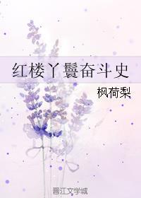 红楼丫鬟奋斗史TXT