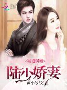 霸道拐婚:陆少娇妻