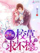 甜心扑上瘾:校草,求不撩