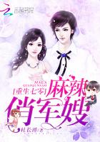 重生七零:麻辣俏军嫂